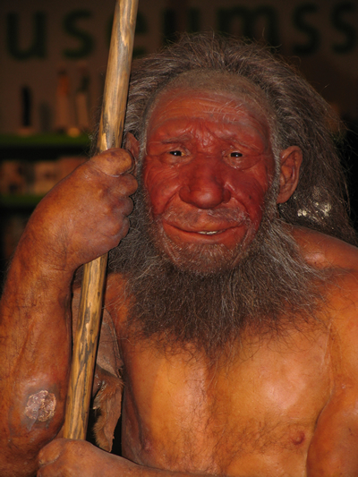 Neanderthal may have bred with Denisovians Neanderthal may have bred with Denisovians
