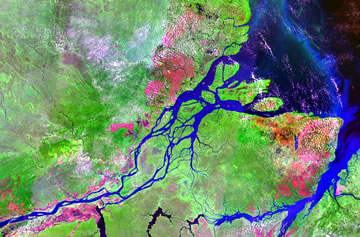 Amazon River Amazon River