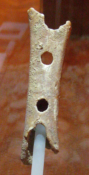 Divje Babe Flute Divje Babe Flute